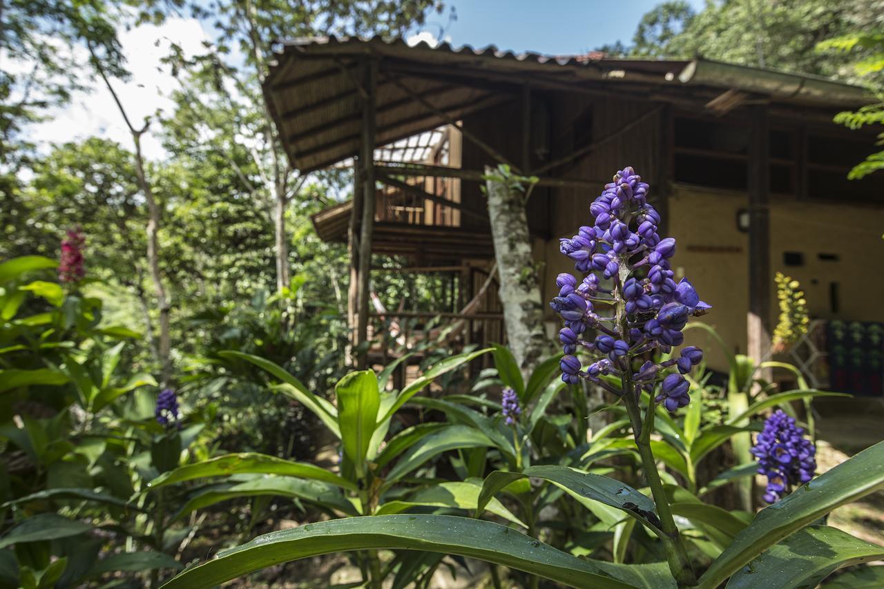 Chirapa Manta Amazon Lodge Lamas Eksteriør billede