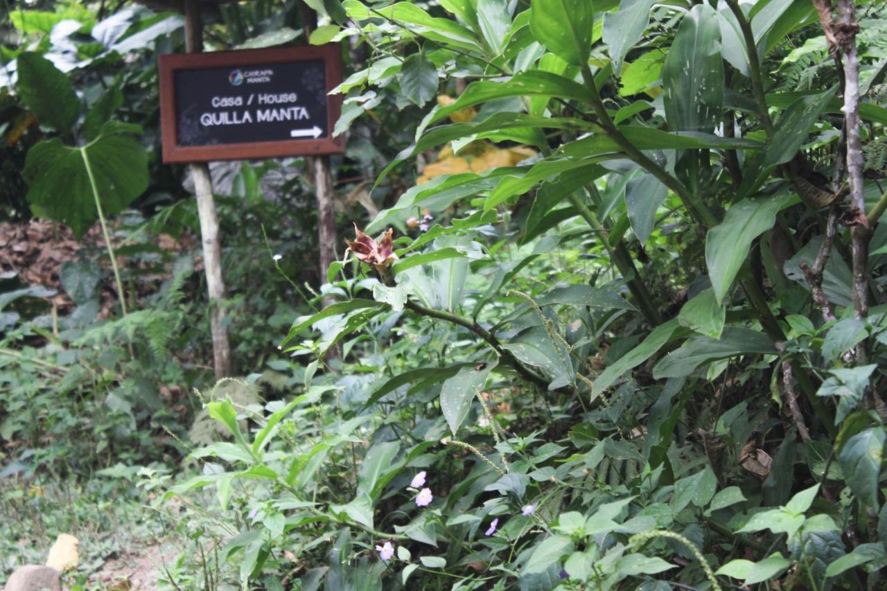 Chirapa Manta Amazon Lodge Lamas Eksteriør billede